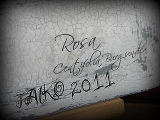 Intercambio de otoño Intercambio de otoño