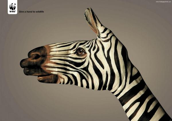 20 anuncios creativos con animales como protagonistas