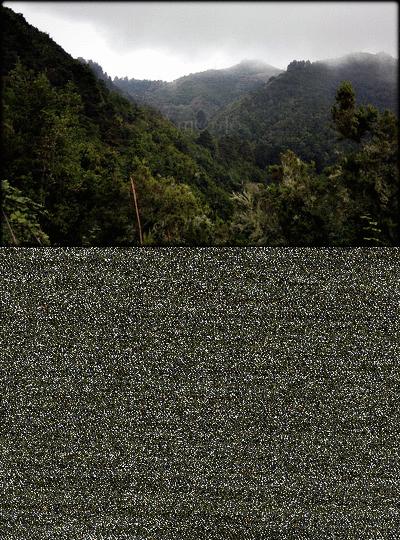 MIS SENDEROS... create a gif