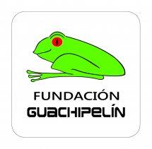 fundacion guachipelin