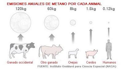 Situaciones incómodas: gases y diarreas Situaciones incómodas: gases y diarreas