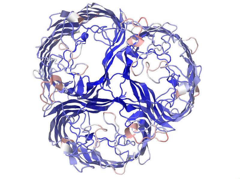 ¿Cuántos cambios genéticos hacen falta para evolucionar? ¿Cuántos cambios genéticos hacen falta para evolucionar?