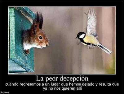 ¿Estas desmotivado? ¿Estas deprimido? Entra y ten motivos para no estarlo. Motivos para motivarse y no estar deprimido