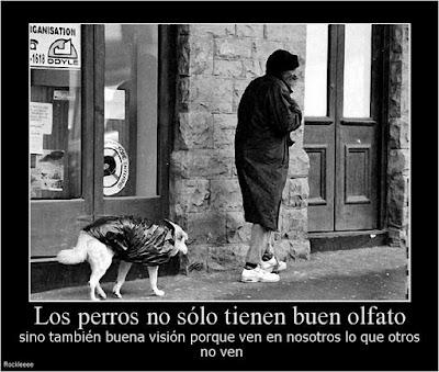 ¿Estas desmotivado? ¿Estas deprimido? Entra y ten motivos para no estarlo. Motivos para motivarse y no estar deprimido
