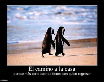 ¿Estas desmotivado? ¿Estas deprimido? Entra y ten motivos para no estarlo. Motivos para motivarse y no estar deprimido