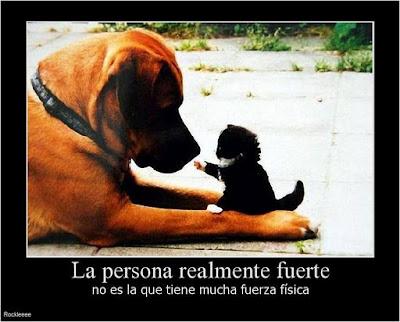 ¿Estas desmotivado? ¿Estas deprimido? Entra y ten motivos para no estarlo. Motivos para motivarse y no estar deprimido