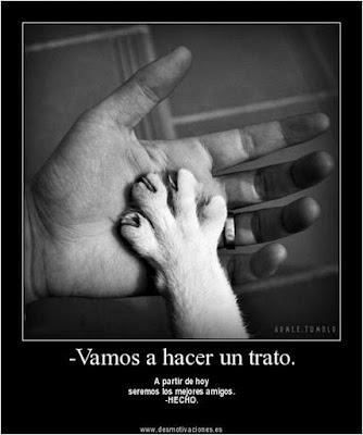 ¿Estas desmotivado? ¿Estas deprimido? Entra y ten motivos para no estarlo. Motivos para motivarse y no estar deprimido