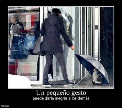 ¿Estas desmotivado? ¿Estas deprimido? Entra y ten motivos para no estarlo. Motivos para motivarse y no estar deprimido