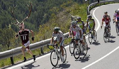 Engrandeciendo el espiritu WTF fotos divertidas