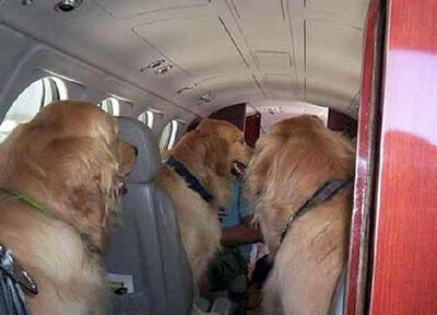 Engrandeciendo el espiritu WTF fotos divertidas