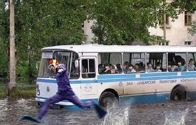 Engrandeciendo el espiritu WTF fotos divertidas