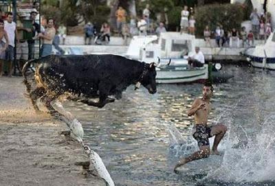 Engrandeciendo el espiritu WTF fotos divertidas