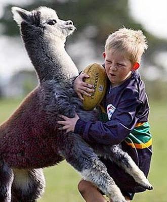 Engrandeciendo el espiritu WTF fotos divertidas