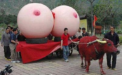 Engrandeciendo el espiritu WTF fotos divertidas