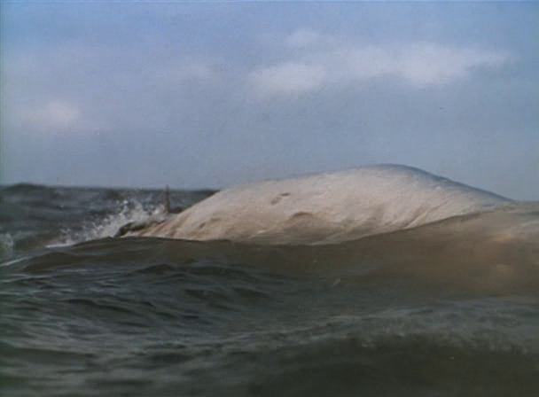 Moby Dick - (1956)John Huston J. HustonNavidades de ...