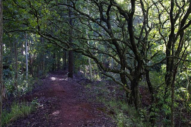 Salir de Swazilandia es sencillo Salir de Swazilandia es sencillo