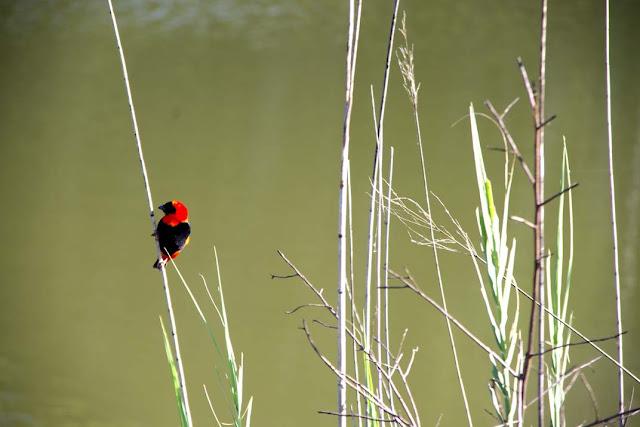 Salir de Swazilandia es sencillo Salir de Swazilandia es sencillo