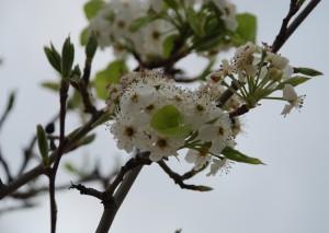 EN LA CRISIS AFLORA LO MEJOR DE CADA UNO! EN LA CRISIS AFLORA LO MEJOR DE CADA UNO!