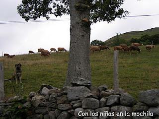 Portillo de Lunada con niebla