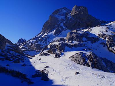 torre lueje torre lueje