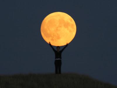 Lavender juega con la luna. Lavender juega con la luna.