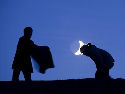 Lavender juega con la luna. Lavender juega con la luna.