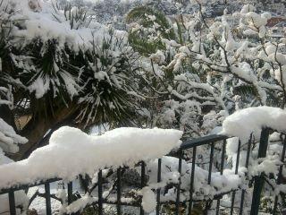 La nieve que ha caído hoy en toda Mallorca ha cubierto la isla de blanco