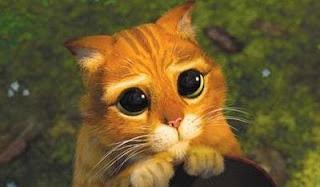 Una disculpa Una disculpa