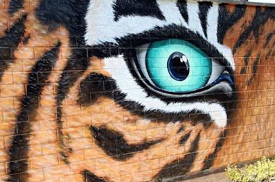 Arte Urbano en el Kölner Zoo de Colonia Arte Urbano en el Kölner Zoo de Colonia