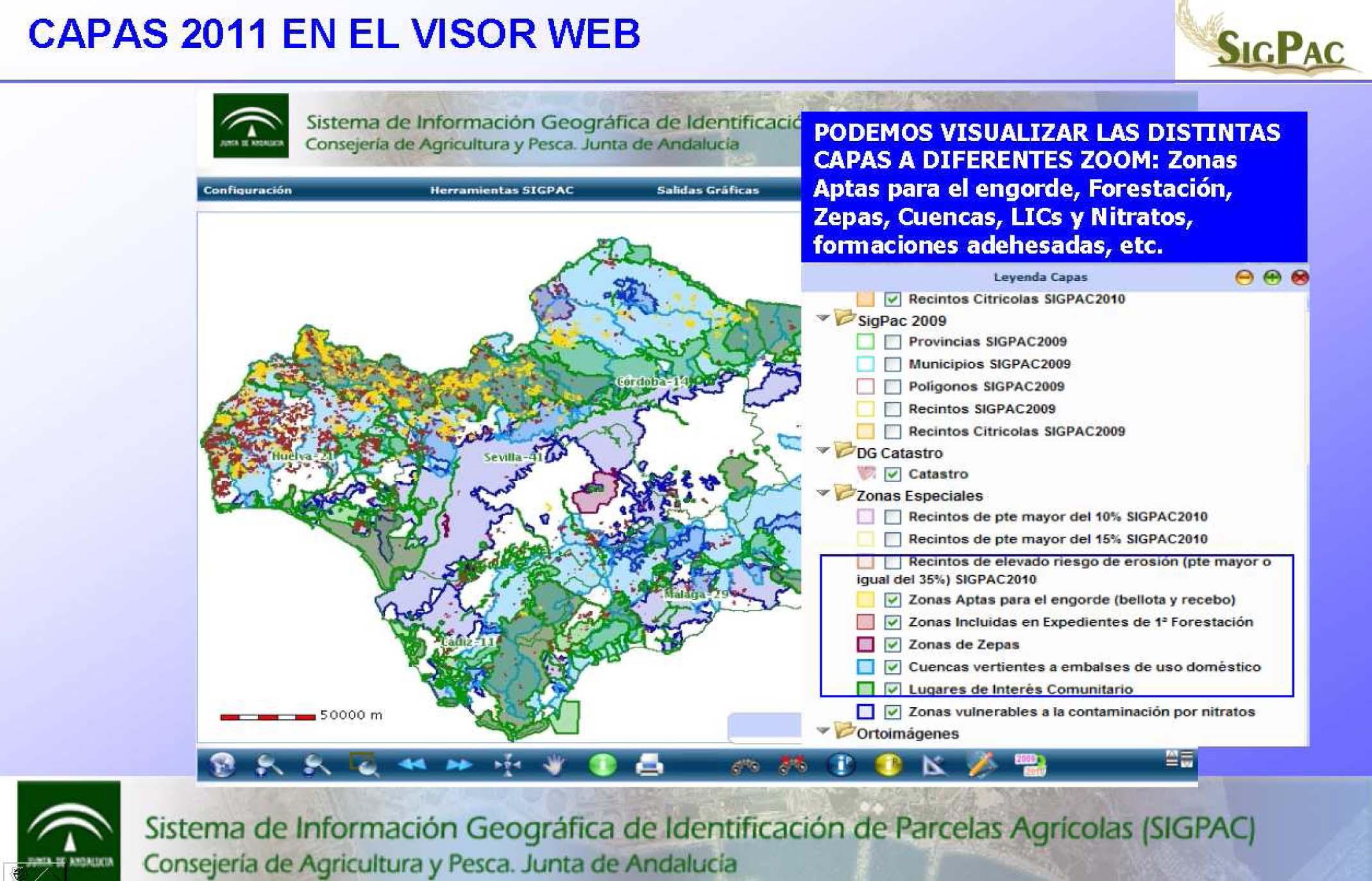 visor sigpac andalucia, visor sigpac, fondo de garantia agraria, fega, agricultura andaluza