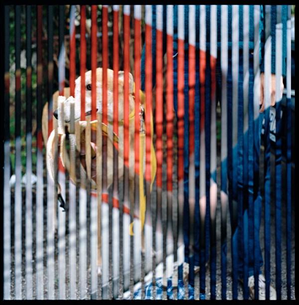 Subdivisión Vertical Subdivisión Vertical