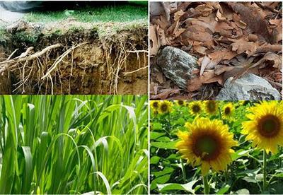 Starting from Scratch VI. The Set Starting from Scratch VI. The Set