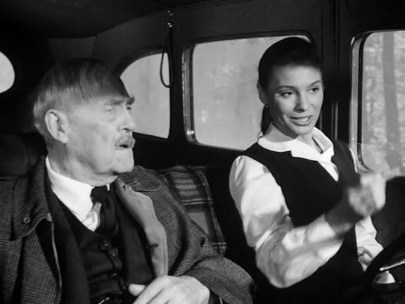 Smultronstället / Fresas Salvajes Smultronstället / Fresas Salvajes