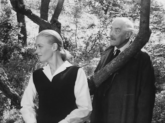 Smultronstället / Fresas Salvajes Smultronstället / Fresas Salvajes