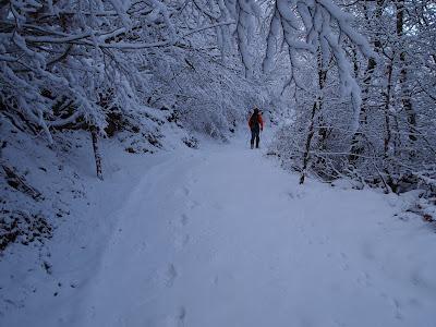 peña chana invernal