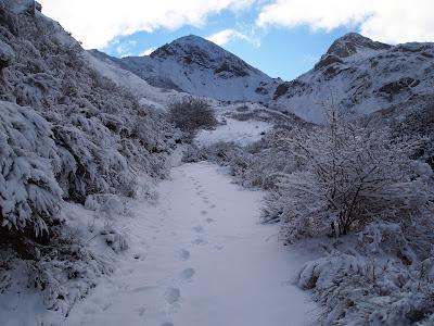 peña chana invernal