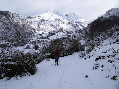 peña chana invernal