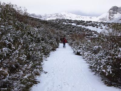 peña chana invernal