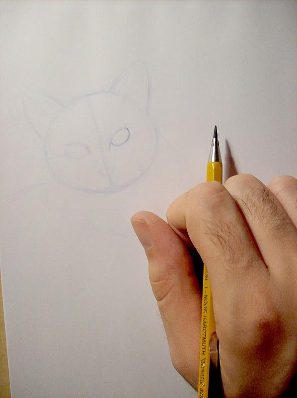 Práctica de dibujo con mi gato / Drawing practice with my cat
