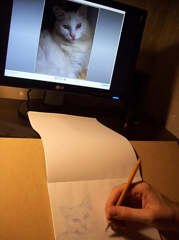 Práctica de dibujo con mi gato / Drawing practice with my cat