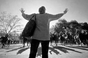 304144_2298329095093_1155106629_2811570_456749_n 161.- ¿Qué hacer?