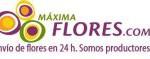 maxima flores maxima flores 150x59 Máxima Flores, una empresa que me huele bien