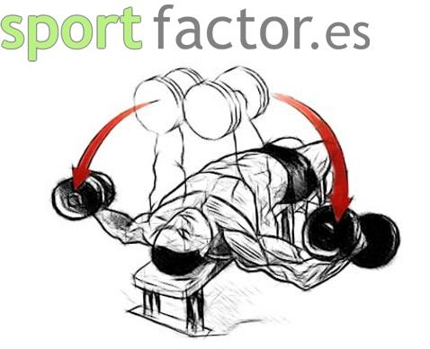 Sportfactor resuelve tus dudas (volumen  I)