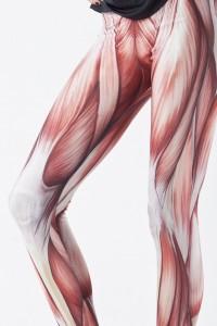 Una malla para resaltar los musculos de tu pierna.