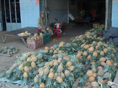 Kampong Chhnang y los pueblos flotantes del Tonle Sap