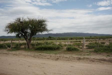 _MG_0276 San Luis, día 3: Naranjo Esquina y ciudad