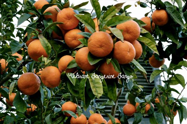 My own version My own version