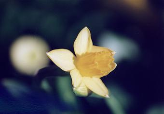 Cuando observamos las diferentes civilizaciones y ve... Cuando observamos las diferentes civilizaciones y ve...