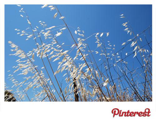 cielo “Pinterest” una red para compartir detalles