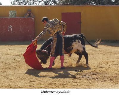 JUAN ORTEGA SE PREPARA EN “LA MORANTILLA”